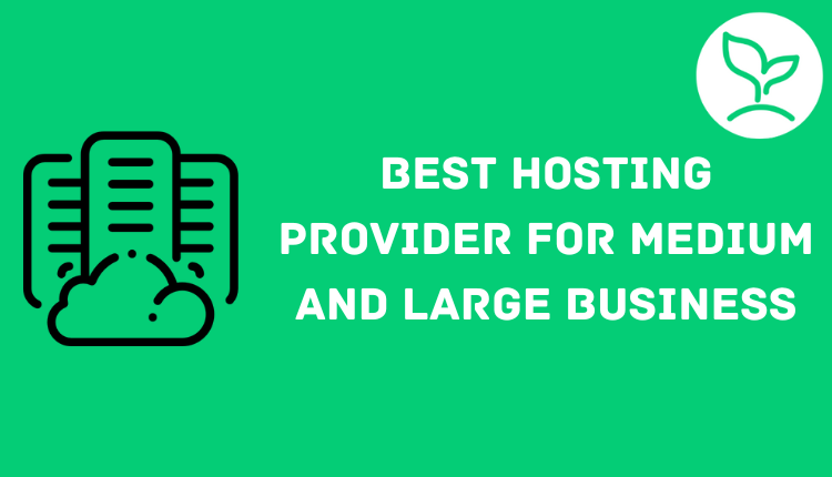 Best Hosting Provider